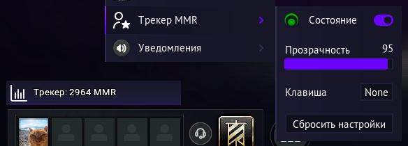 IMG Tracker MMR